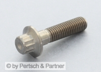 Rim screws M 7 x 32 Titan 14.9