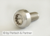 Decorative rim screw M 6 x 12 stainless steel