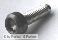 Rim screw M 7 x 24,5 IVZ Anthracite Look
