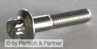 Rim screws M 7 x 32 special stainless steel 14,9