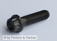 Rim screws M 8 x 30 Titan 14 mm