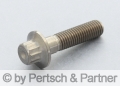 Rim screws M 7 x 32 Titan 14.9