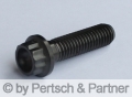 Rim screws M 8 x 30 Titan 14 mm